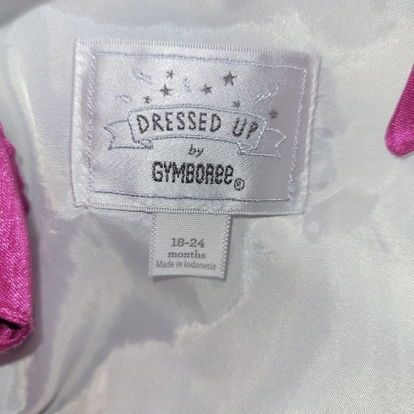 🌷 Vintage Gymboree Dressed Up Family Brunch Fancy Floral Rosette Dress 18-24 - Picture 6 of 8